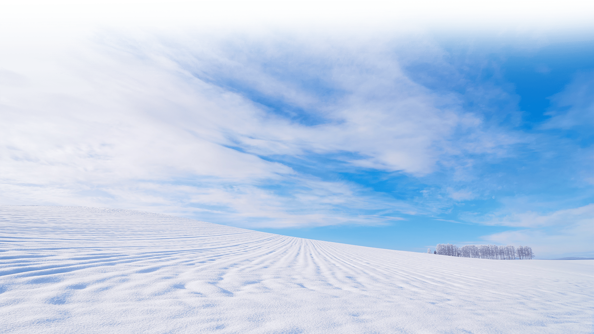 雪原